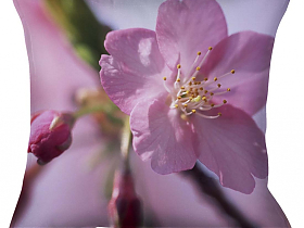 Декоративные подушки Garden Цветок яблони