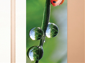 Японские панели  Garden Капли воды