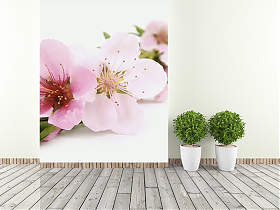 Фотообои  Garden (ЦВЕТОК САКУРЫ)
