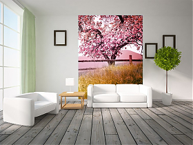 Фотообои  Garden (ДЕРЕВО САКУРЫ)