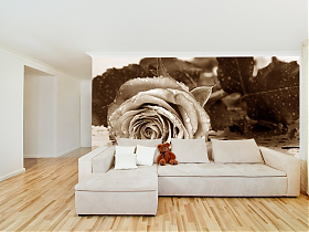 Фотообои  Garden (РОЗА ПОСЛЕ ДОЖДЯ)