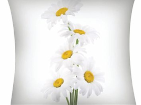Декоративные подушки Garden Букет ромашек