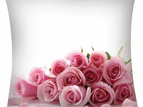 Декоративные подушки Garden Розовые розы